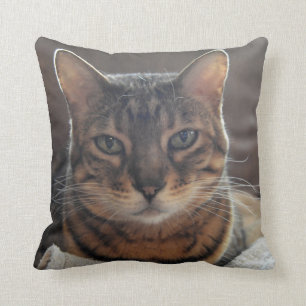 Bengal Love Throw Pillow