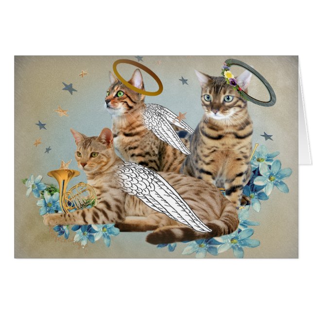 Bengal Perfect Angels cards (Front Horizontal)