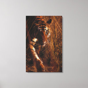 Bengal Tiger 4 Canvas Print
