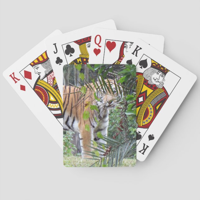 Bengal Tiger - Bicycle Playing Cards (Back)