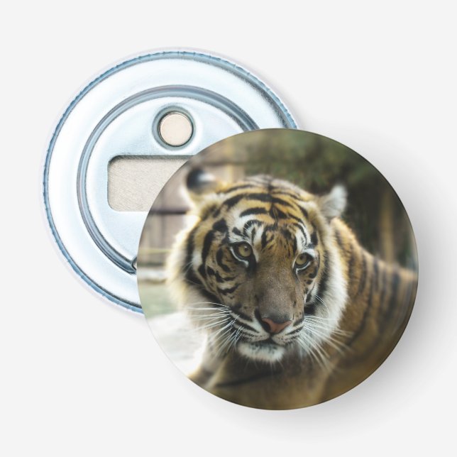 Bengal Tiger Bottle Opener (Front)