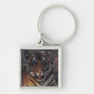 Bengal Tiger Cub Keychain