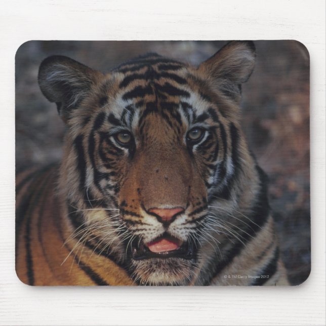 Bengal Tiger Cub Mouse Pad (Front)