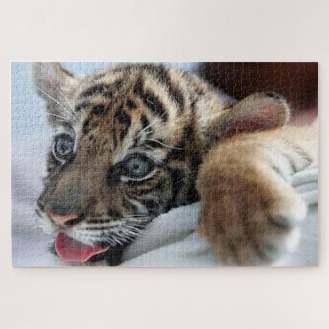 Bengal Tiger cub watching on a snow hill Jigsaw Puzzle (Horizontal)