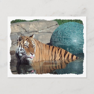 Bengal Tiger Customizable Stylized Invitation