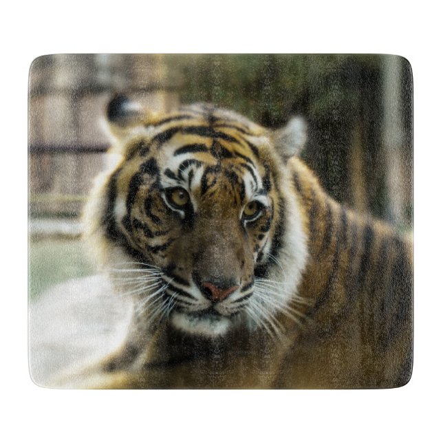 Bengal Tiger Cutting Board (Front)