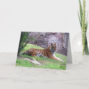 Bengal Tiger Greeting Card
