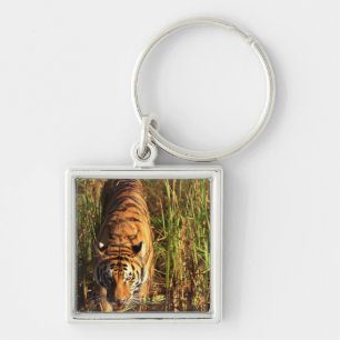 Bengal tiger in wetlands keychain