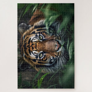 Bengal Tiger Jigsaw Puzzle