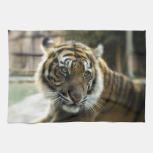 Bengal Tiger Kitchen Towel