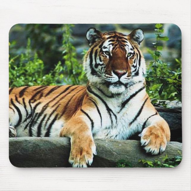 bengal tiger mouse pad (Front)