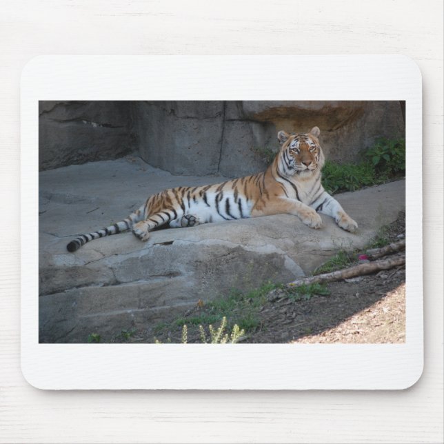 Bengal Tiger Mouse Pad (Front)