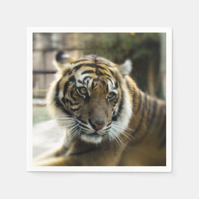 Bengal Tiger Napkin (Front)