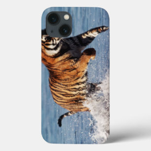 Bengal Tiger (Panthera Tigris) iPhone 13 Case
