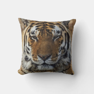 Bengal Tiger, Panthera tigris, Louisville Zoo, Throw Pillow
