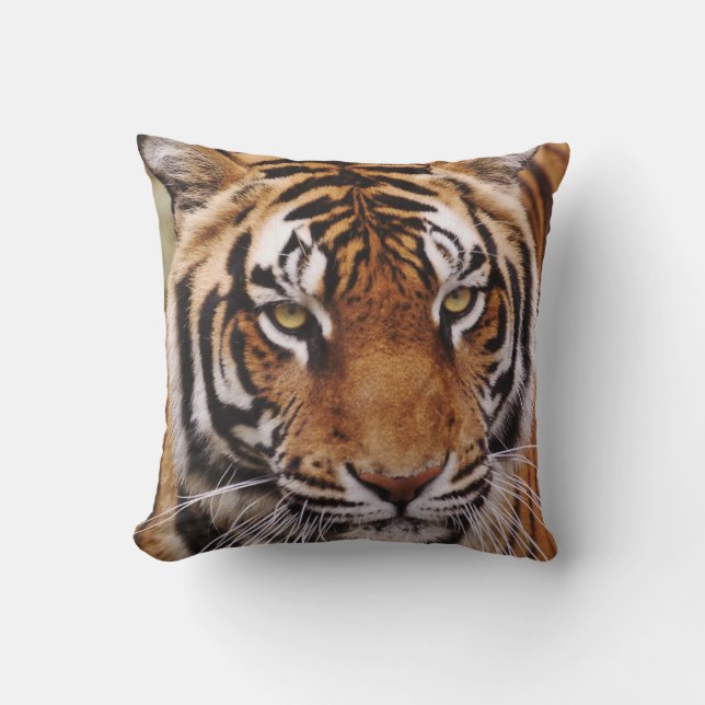 Bengal Tiger, Panthera tigris Throw Pillow (Front)