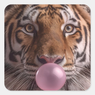 Bengal Tiger Portrait Blowing Pink Bubblegum Square Sticker