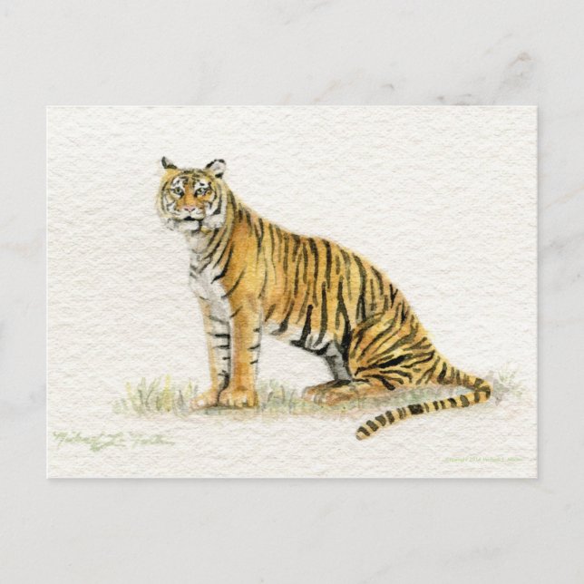 Bengal Tiger Postcard (Front)