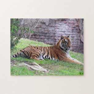 Bengal Tiger Puzzle