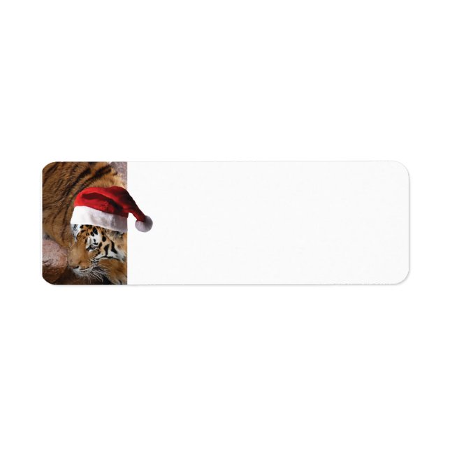 Bengal Tiger Santa Claus (Front)