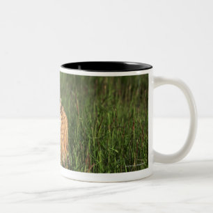 Bengal tiger Two-Tone coffee mug
