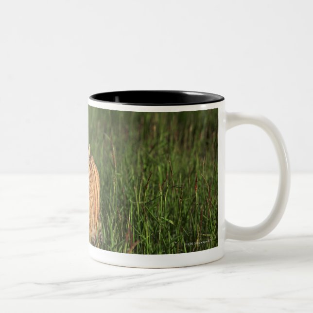 Bengal tiger Two-Tone coffee mug (Right)