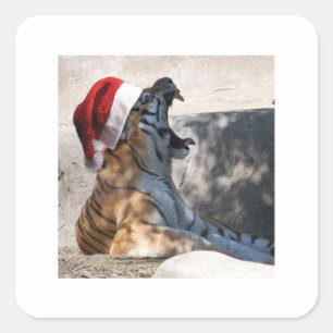 Bengal Tiger wearing a Santa Hat for Christmas Square Sticker