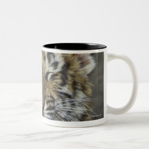 Bengal tiger yawning Two-Tone coffee mug