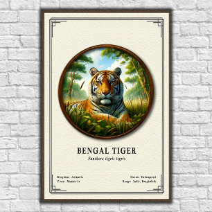 Bengal Tiger Zoology Series Poster