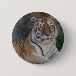 Bengal Tigers 2 Inch Round Button