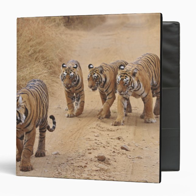 Bengal Tigers Binder (Front/Inside)