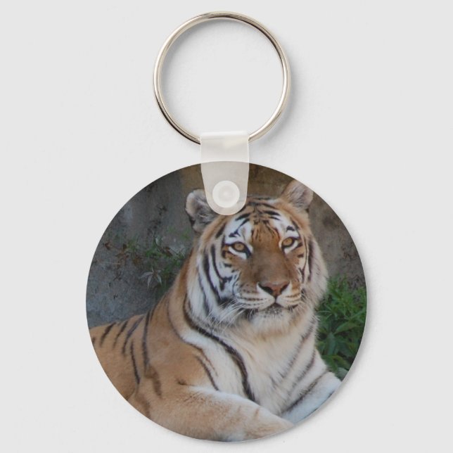 Bengal Tigers Keychain (Front)