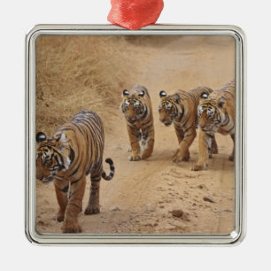 Bengal Tigers Metal Ornament