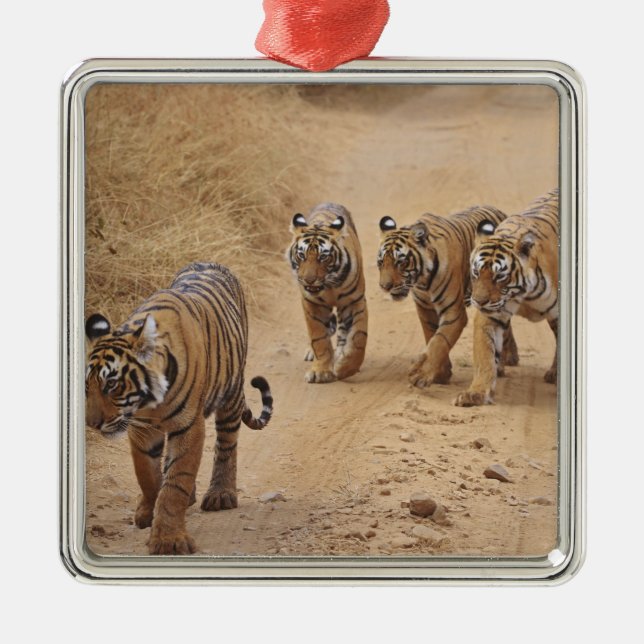 Bengal Tigers Metal Ornament (Front)