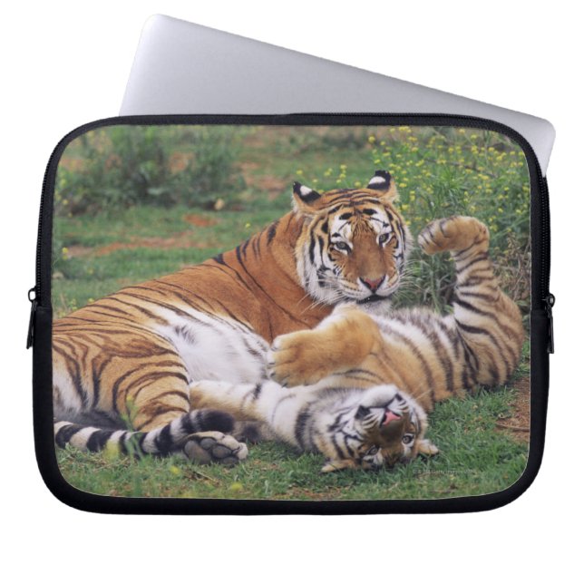 Bengal tigers playing laptop sleeve (Front)