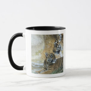 Bengal tigers relaxing mug