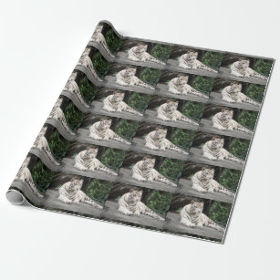 Bengal White Tiger Lying On The Rock Wrapping Paper