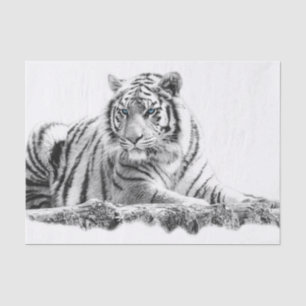 Bengal White Tiger Tissue Paper