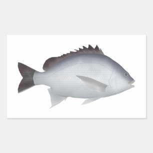 Bengal Yellowfin Seabream Sticker