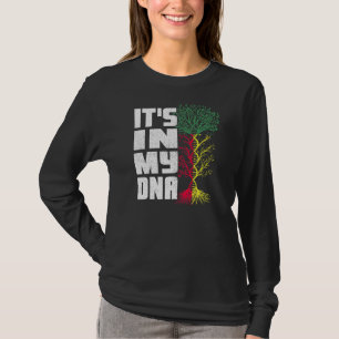 Benin Flag Beninese African Roots It's In My Dna P T-Shirt