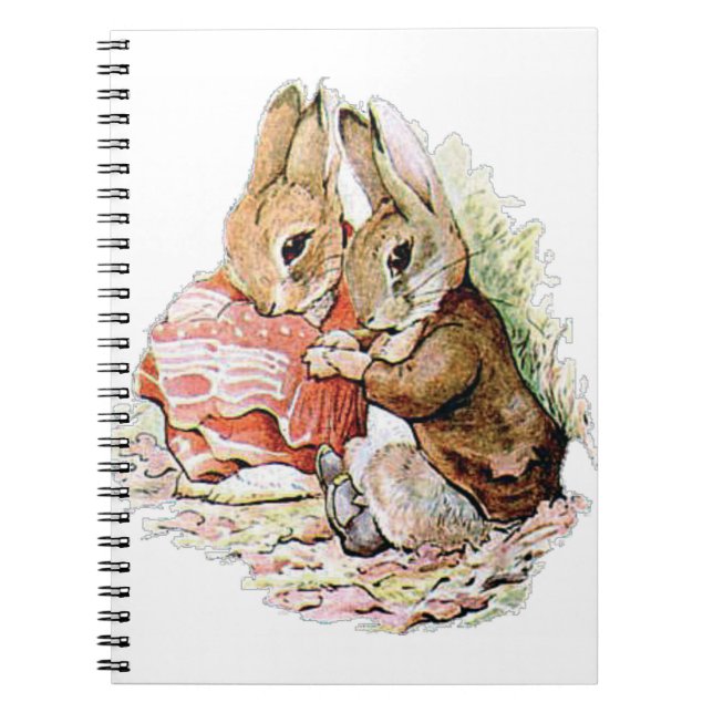 Benjamin Bunny stumbled upon Peter Rabbit Notebook (Front)