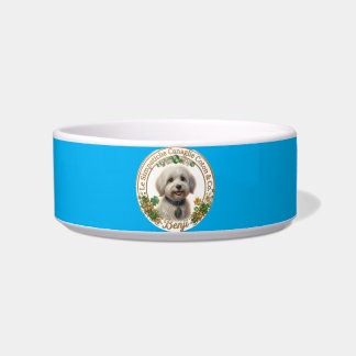 Benji Blue Bowl - Coton Detectives