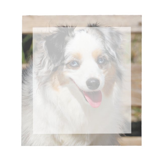 Bennett - Aussie Mini - Rosie - Carmel Beach Notepad (Front)