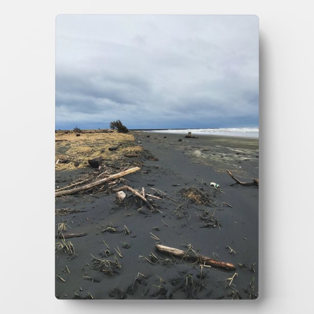 Benson Beach, Cape Disappointment, WA Plaque (Front)