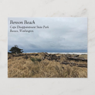 Benson Beach, Cape Disappointment, WA Postcard