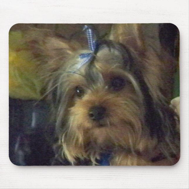 BENSON MOUSE PAD (Front)