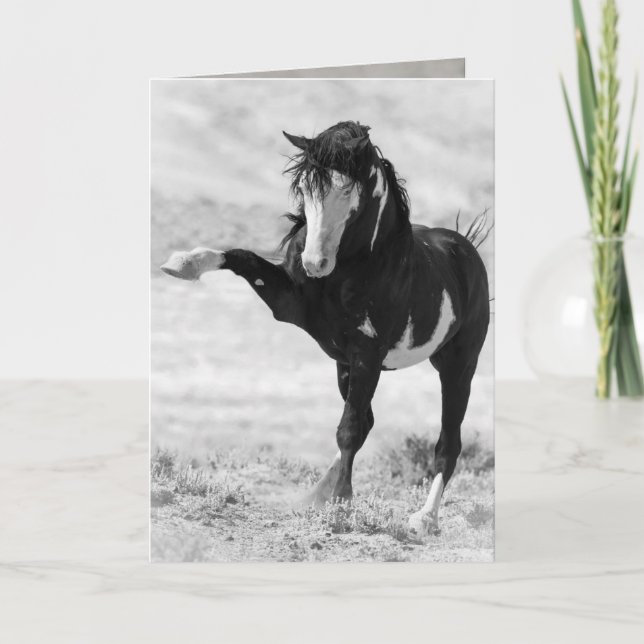 Benson Strikes Out Wild Horse Greeting Card (Front)