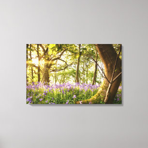 Bent tree in bluebell forest canvas print