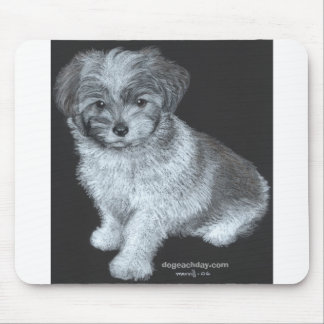 bentley_300, dogeachday.com mouse pad