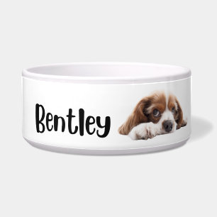 Bentley - dogs and cats personalised bowl